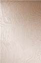 baroc_br